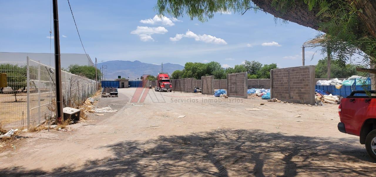 WhatsApp Image 2024-05-31 at 3.22.09 PM (1)