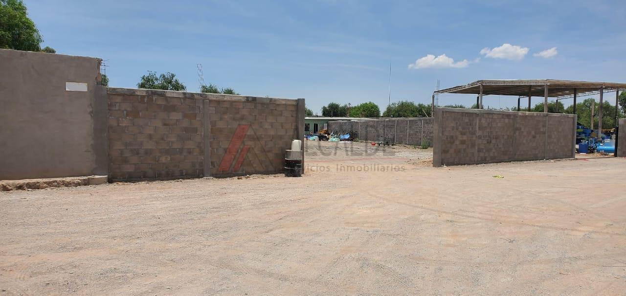 WhatsApp Image 2024-05-31 at 3.22.09 PM (4)