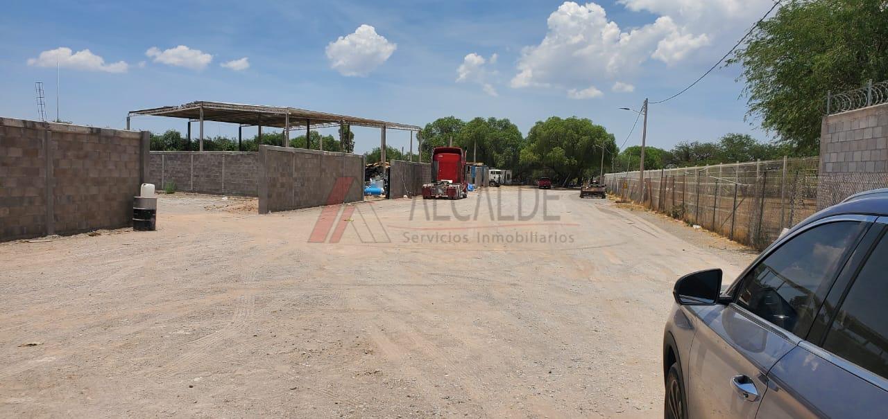 WhatsApp Image 2024-05-31 at 3.22.09 PM (5)