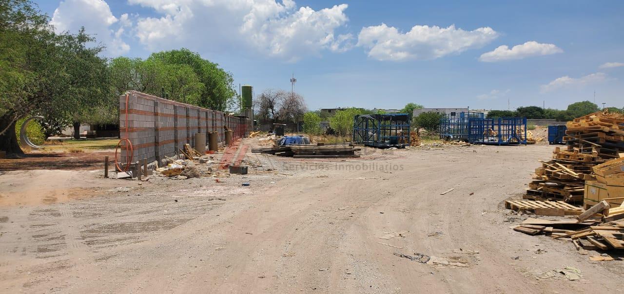 WhatsApp Image 2024-05-31 at 3.22.09 PM