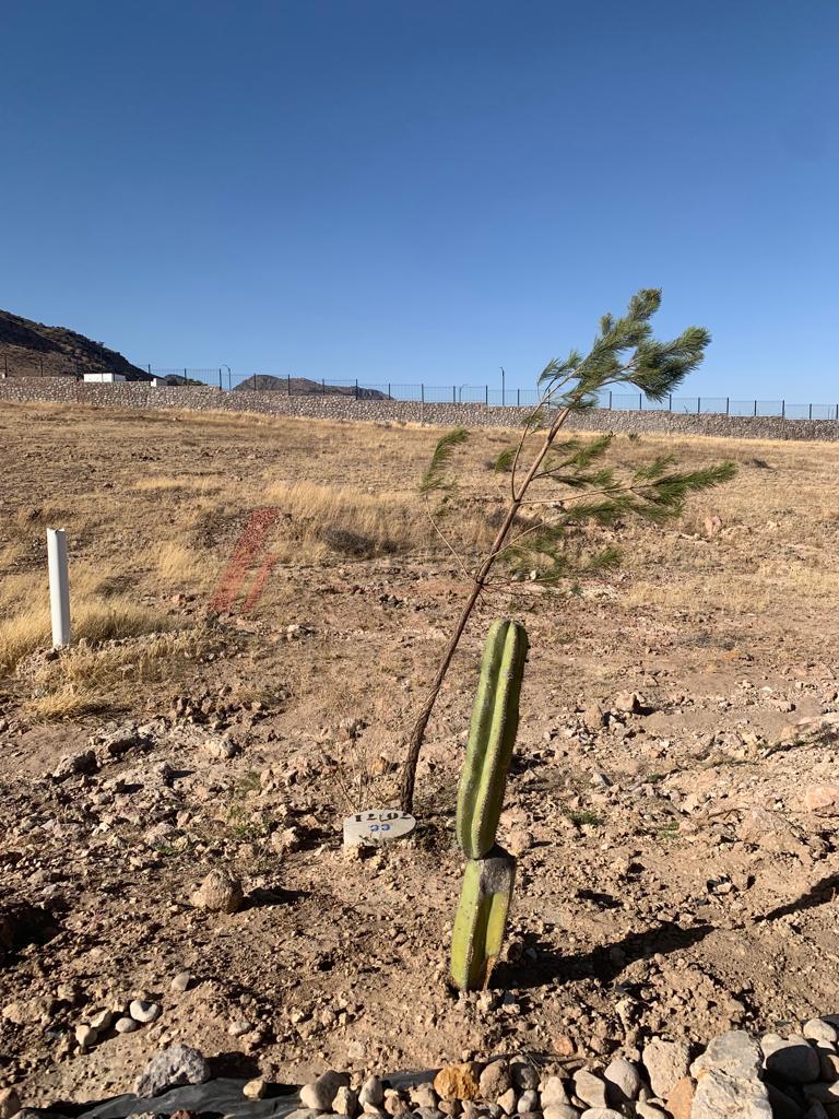 WhatsApp Image 2022-03-18 at 11.48.56 AM