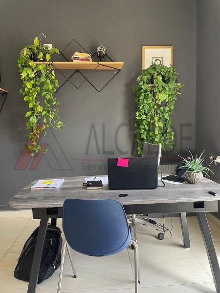 Casa en Renta en Tequisquiapan